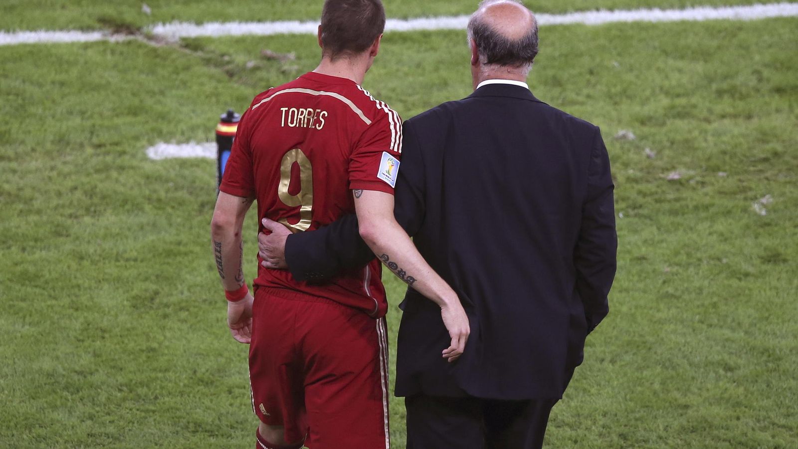 Foto: Fernando Torres y Del Bosque, durante un partido de la Selección (EFE)