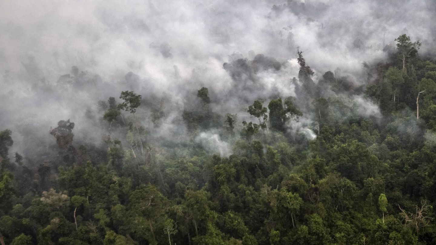 Un bosque ardiendo en Sumatra. (Reuters)
