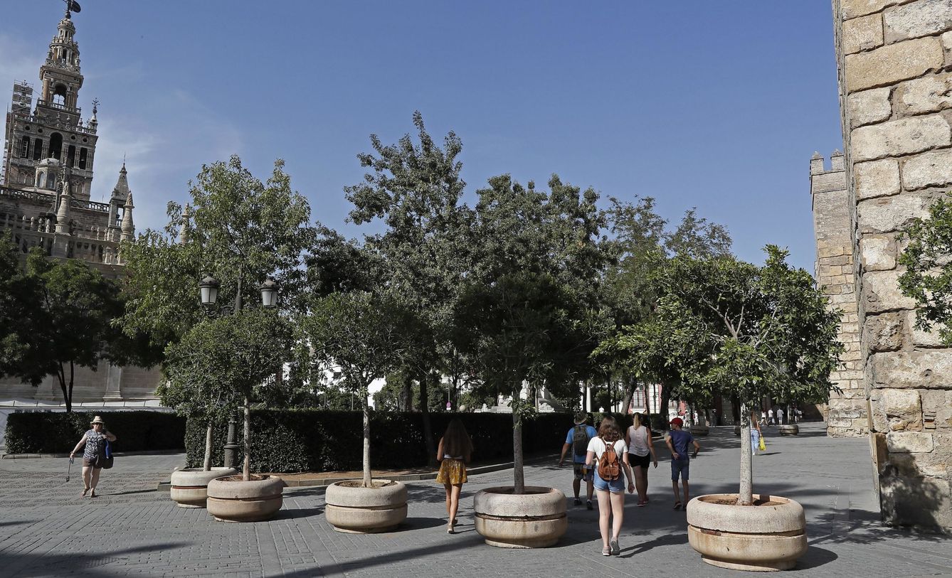 Sevilla ha reforzado la entrada al Alcázar en el casco antiguo con la instalación de unos maceteros. (EFE)