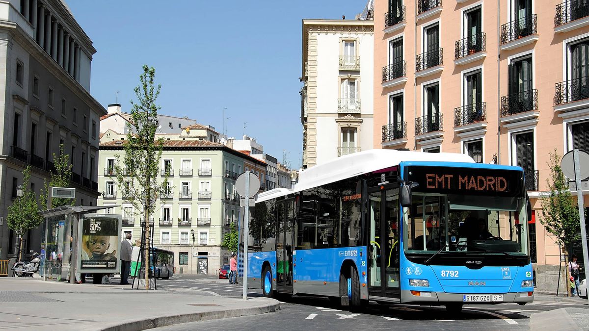 Madrid permitirá que todos los perros suban a los autobuses municipales