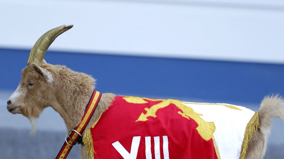 La cabra 'Miura' de la Bandera Millán Astray releva a 'Pablo' sin que lo vea Carmena