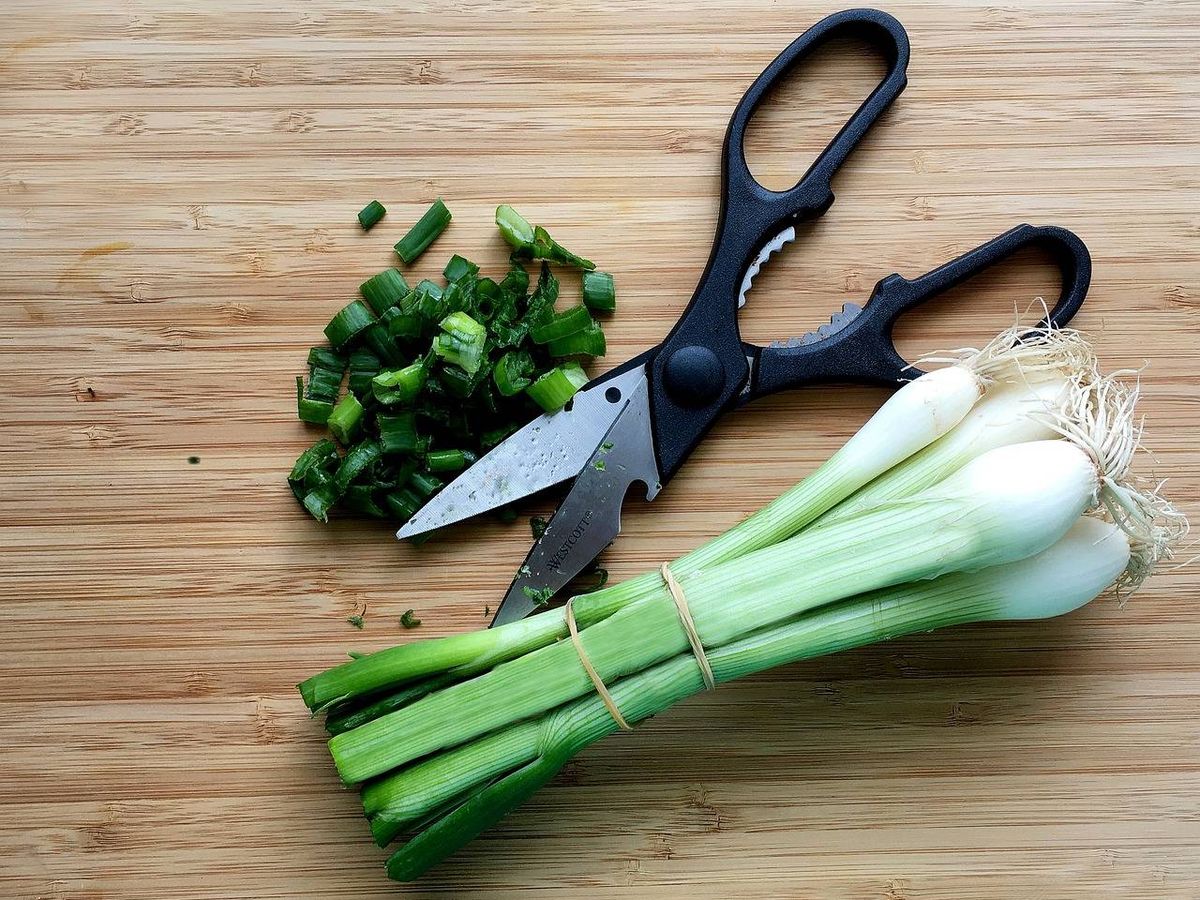 Foto: Las tijeras de cocina son imprescindibles para los cocineros (Foto: Pixabay)