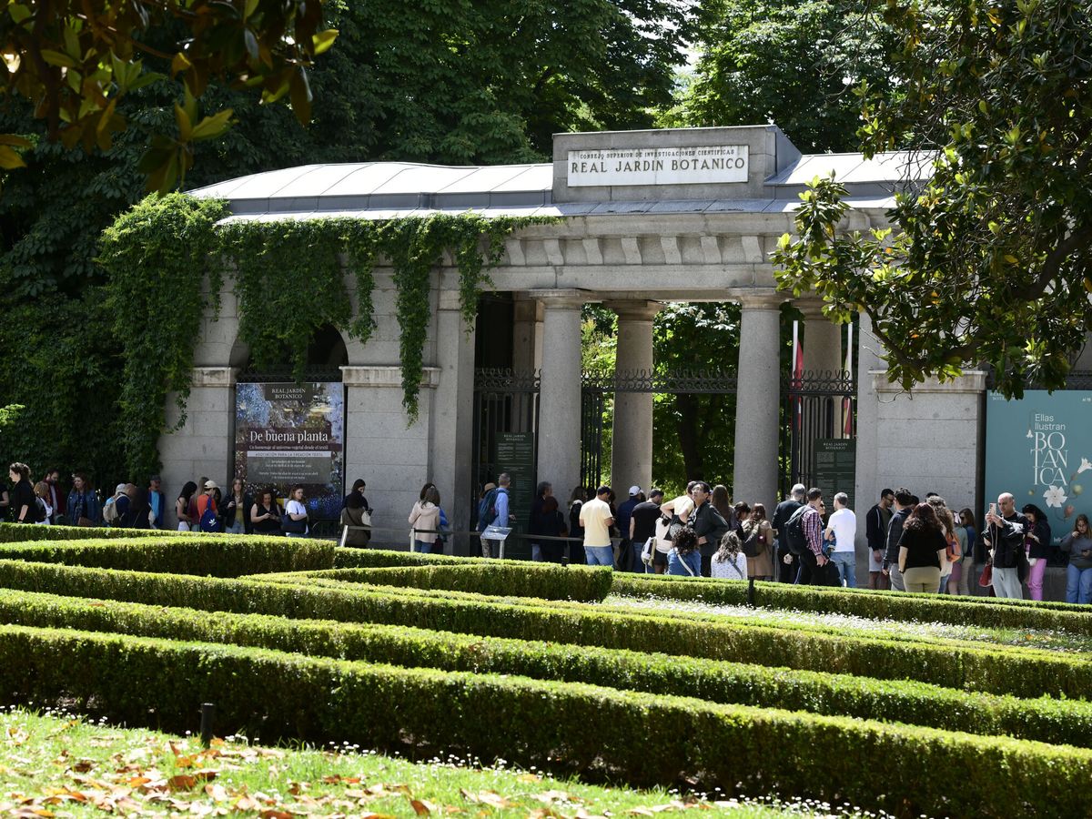 Foto: Colas ante el acceso el Real Jardín Botánico de Madrid. (EFE/Víctor Lerena)