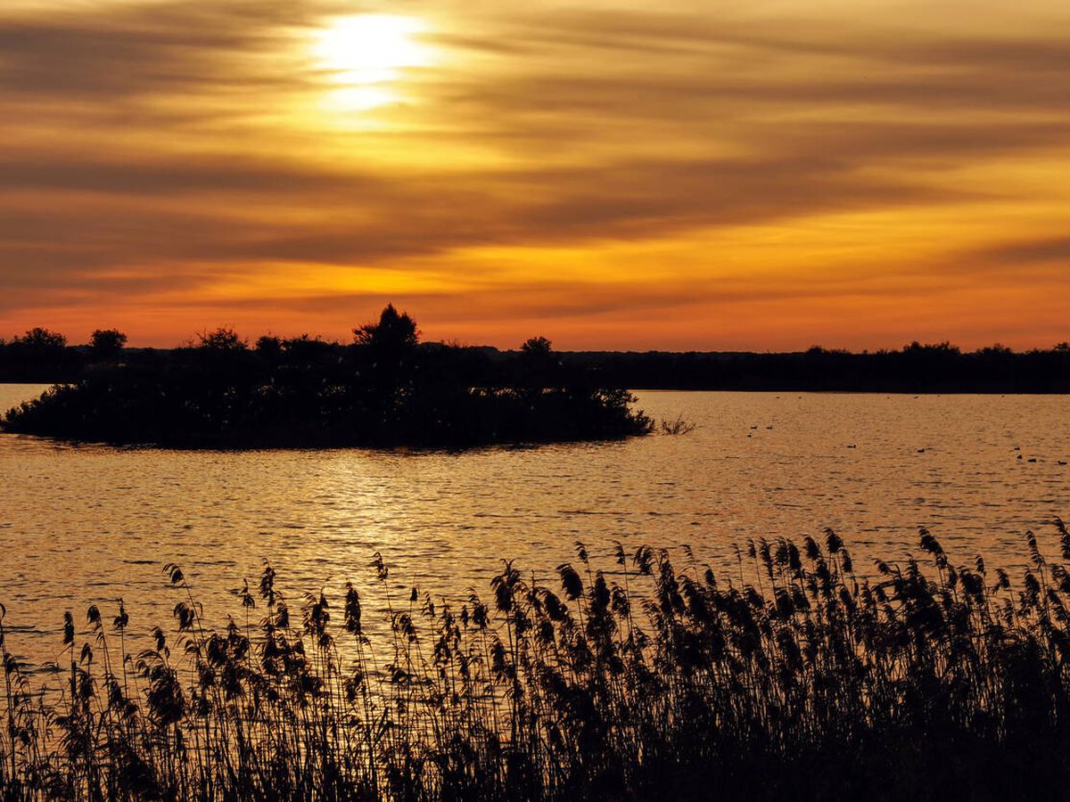 Foto: Lagunas de Doñana. (iStock)