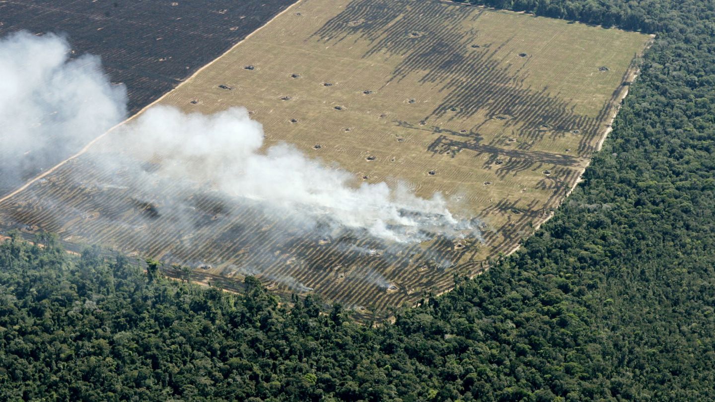 Deforestación en el Amazonas. (Reuters/Rickey Rogers)