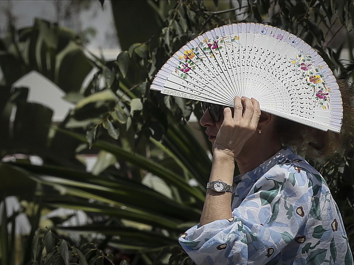 Foto: Una persona se cubre la cabeza con un abanico. (EFE/José Manuel Vidal)