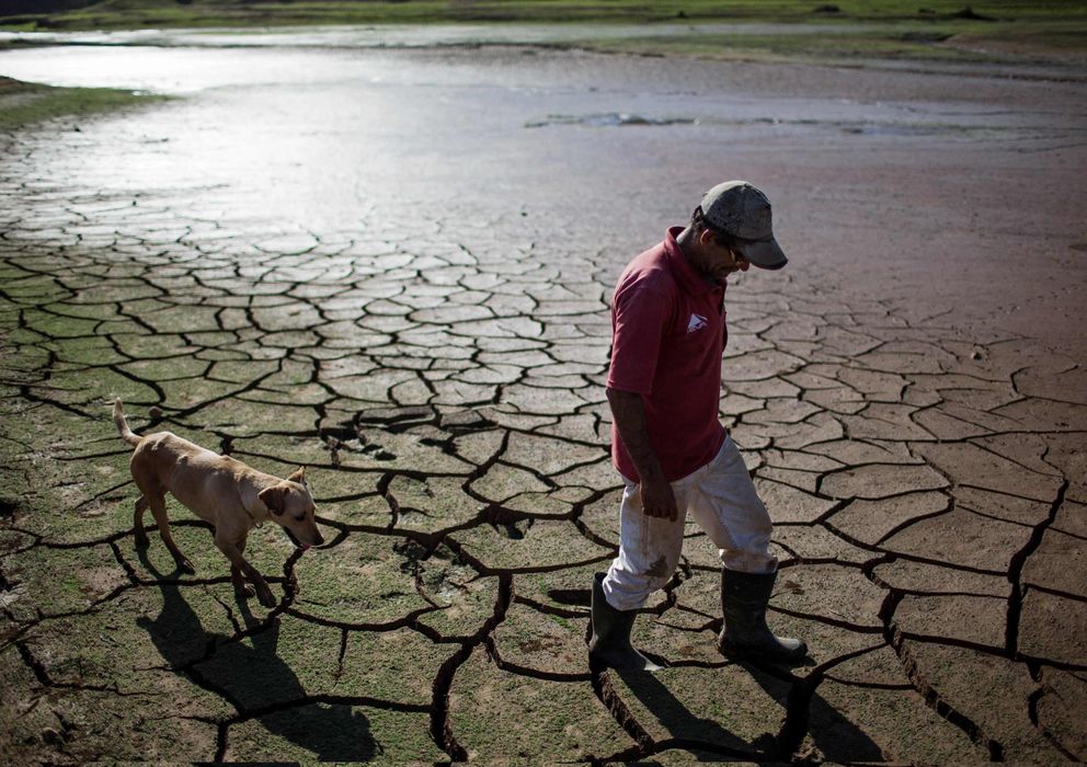 Foto: Un brasileño camina con su perro por el fondo del embalse de Paraibuna. (Reuters)