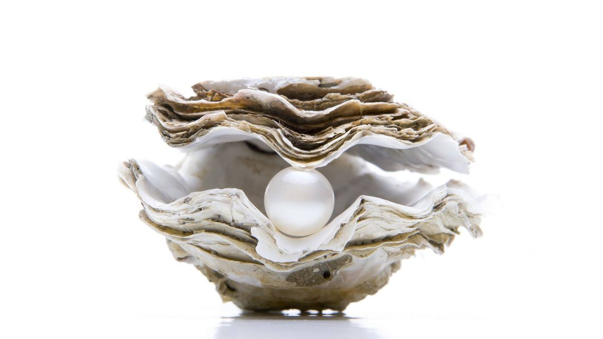 El misterioso origen natural de las perlas: así se forman dentro de una ostra