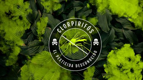 Clorpirifós: uno de los pesticidas más peligrosos lo tienes en tu plato y en tu cuerpo