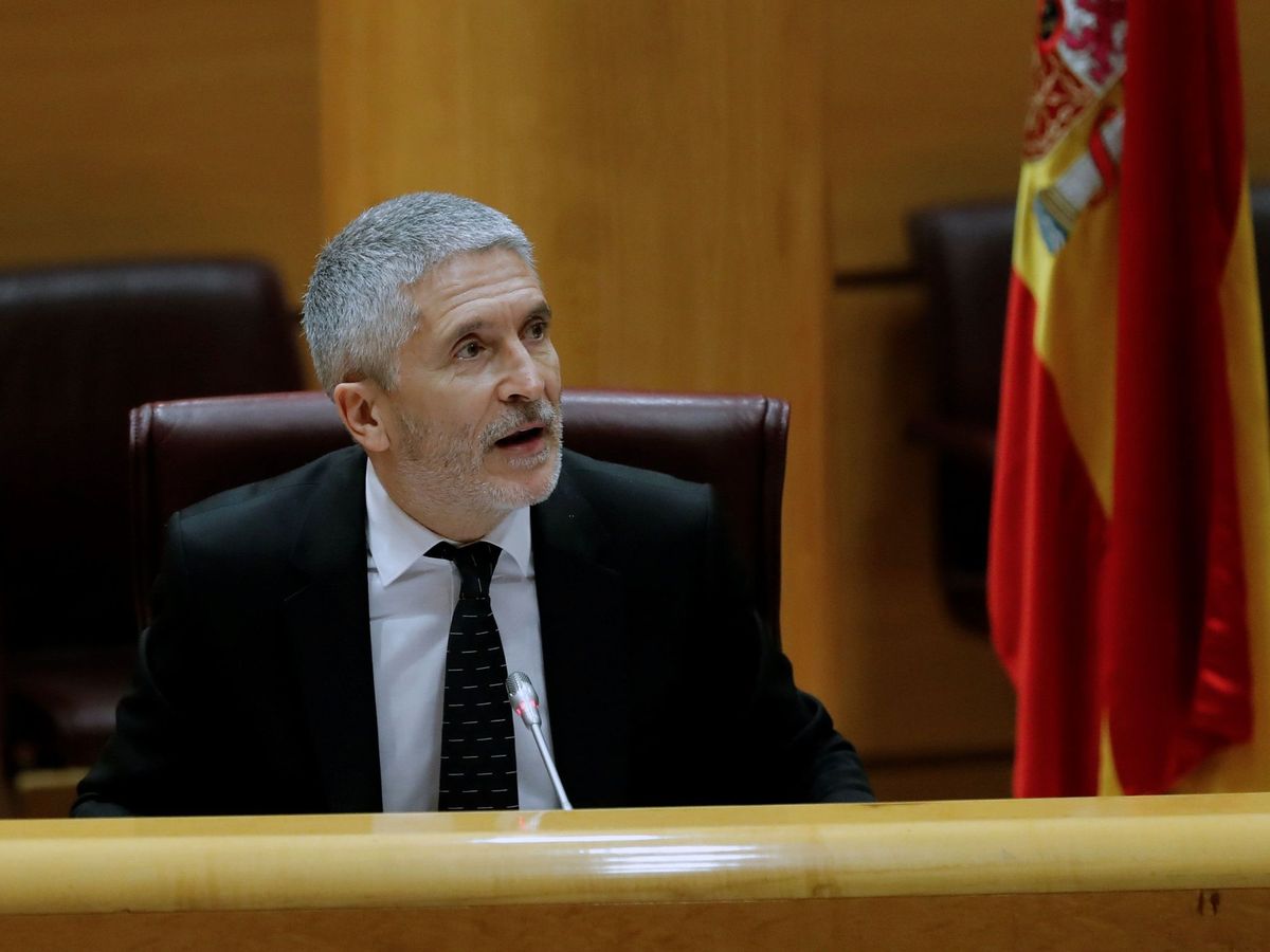 Foto: Fernando Grande-Marlaska en el Senado. (EFE)
