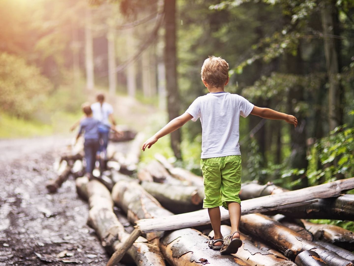 ¿Dejarías que tus hijos explorasen el bosque? (iStock)