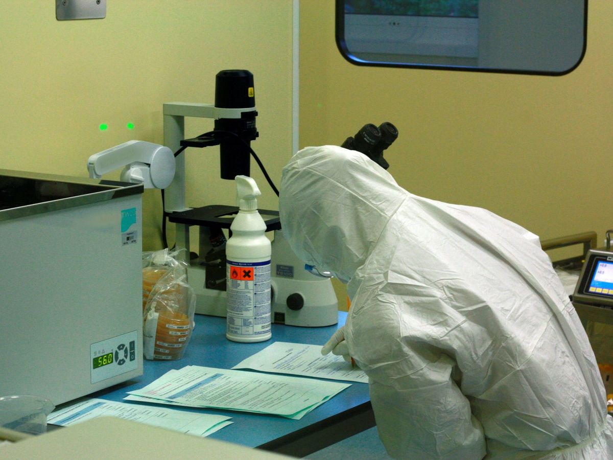 Foto: La OMS insiste en que "todas las pruebas" apuntan a un origen animal del coronavirus. (EFE)