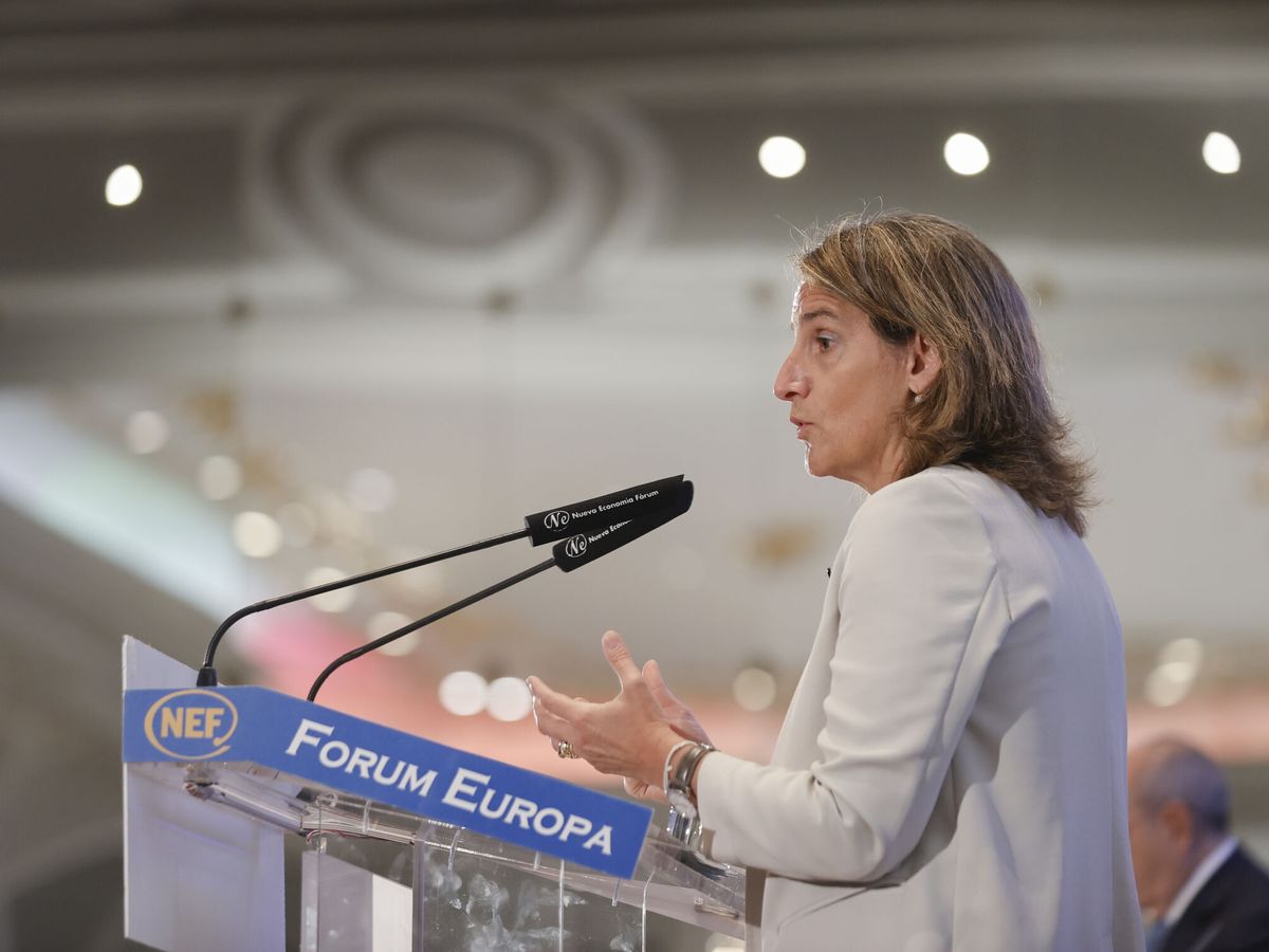 Foto: La ministra de Transición Ecológica, Teresa Ribera. (EFE/Emilio Naranjo)