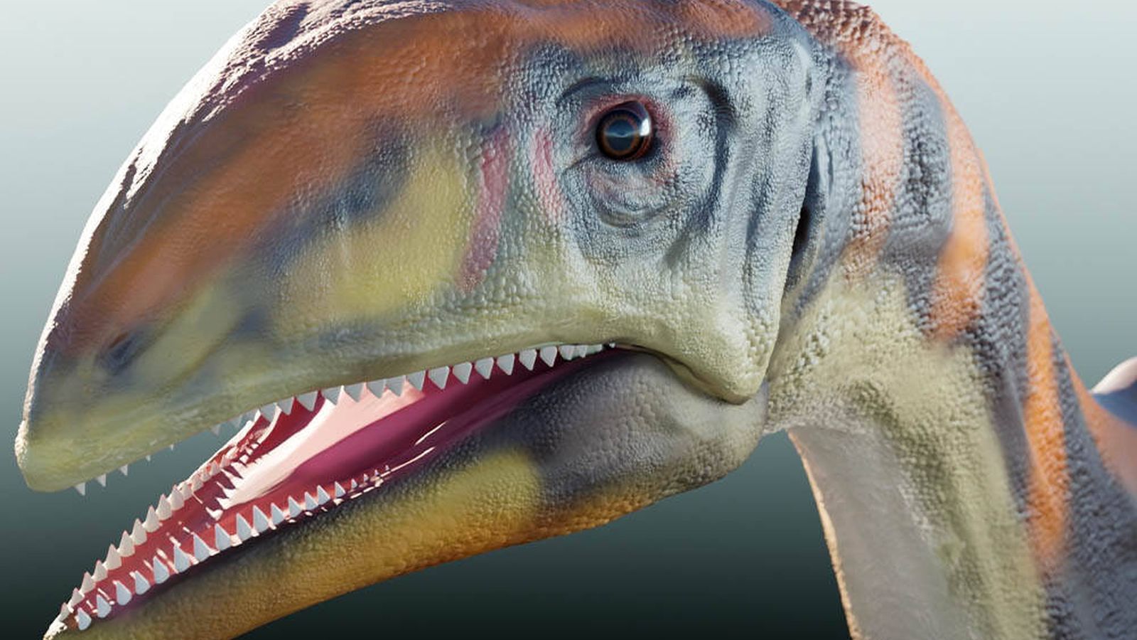Cuándo desaparecieron los dinosaurios? Un estudio descubre la fecha exacta