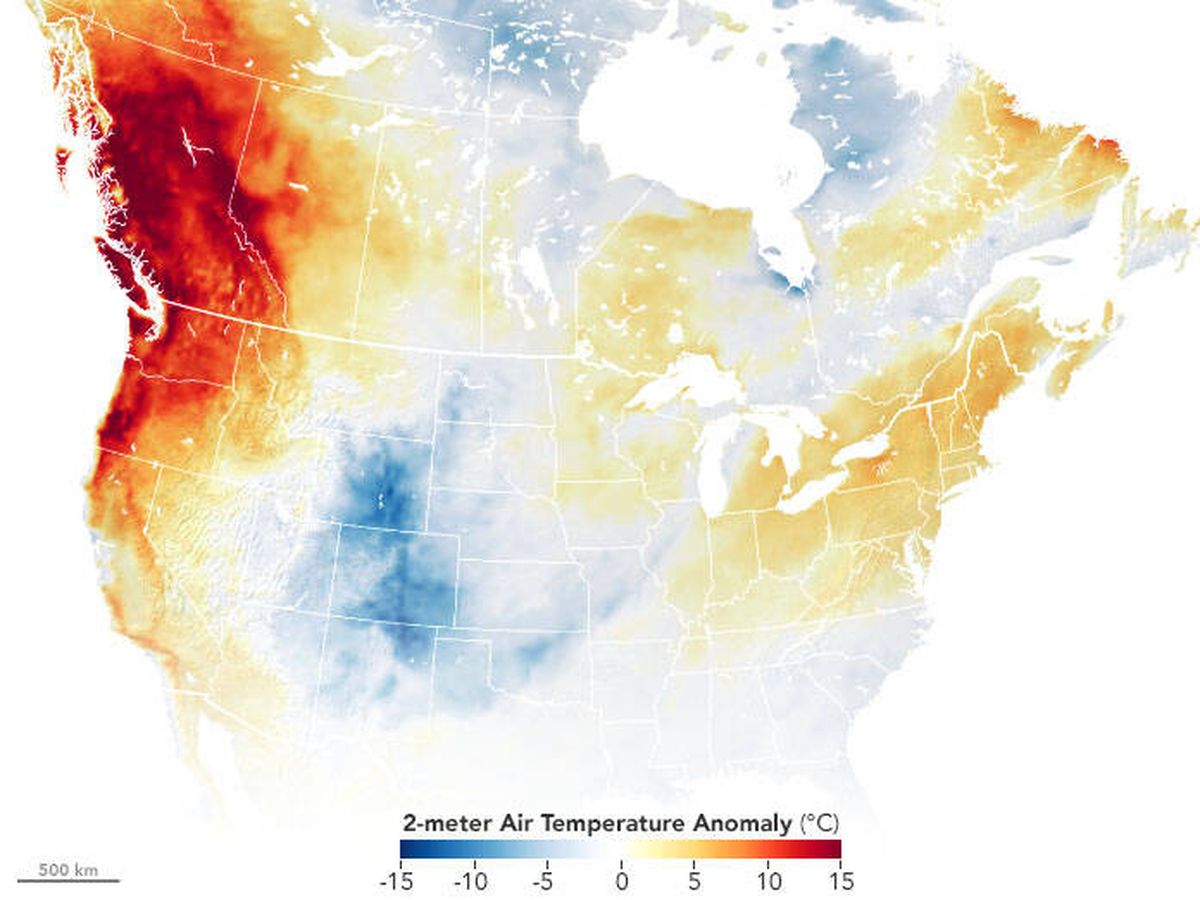 Foto: La ola de calor en el noroeste de América del Norte. Foto: Nasa Earth Observatory