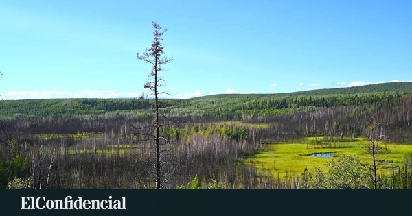 En tiempos de Altamira, los humanos ya cazaban en Alaska hace 13.800 años: un hallazgo revela cómo vivían