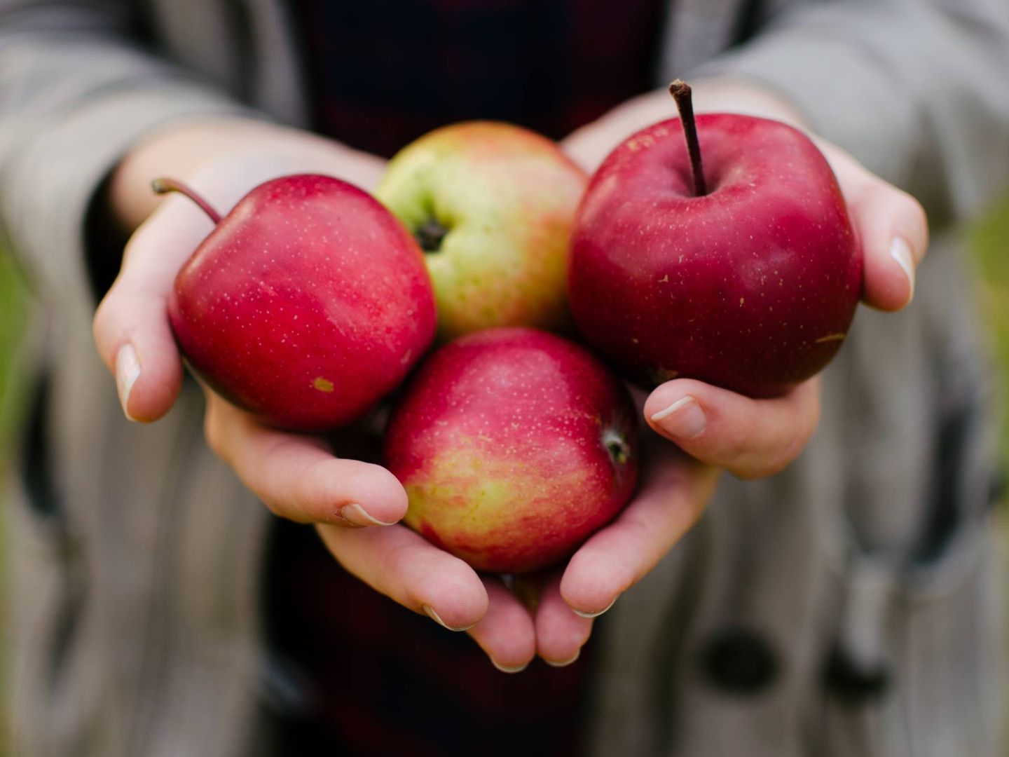 Puedes añadir manzana para endulzar tus platos. (Aarón Blanco Tejedor para Unsplash)