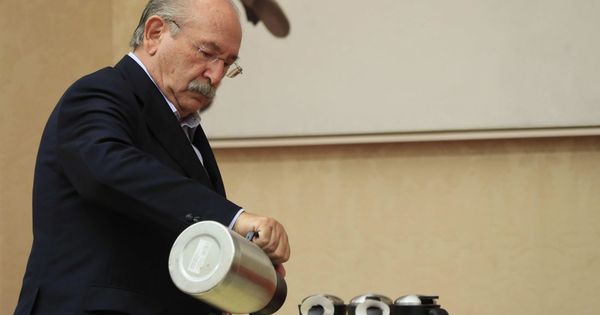 Foto: El expresidente de Sacyr Luis del Rivero. (EFE)