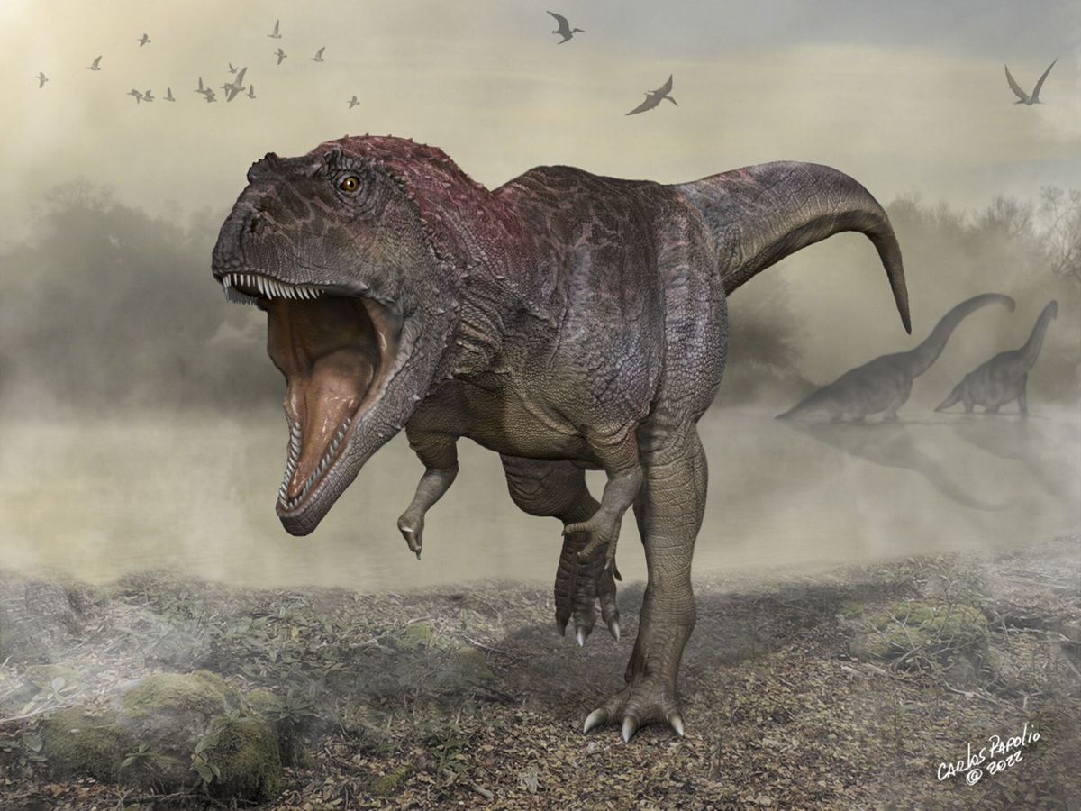 Foto: Meraxe gigas, nueva especie de dinosaurio. (EFE /Carlos Papolio) 