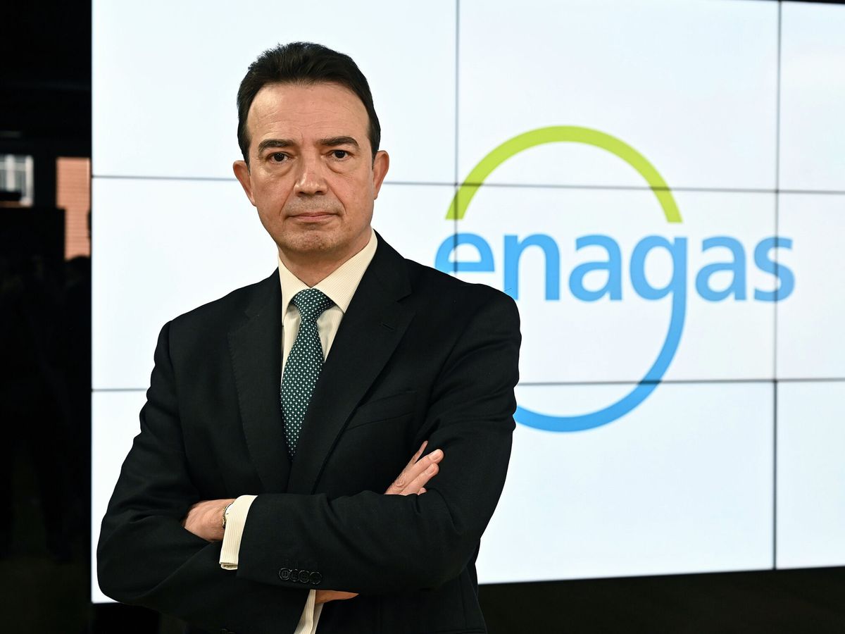 Foto: El consejero delegado de Enegás, Arturo Gonzalo Aizpiri. (EFE/Fernando Villar) 