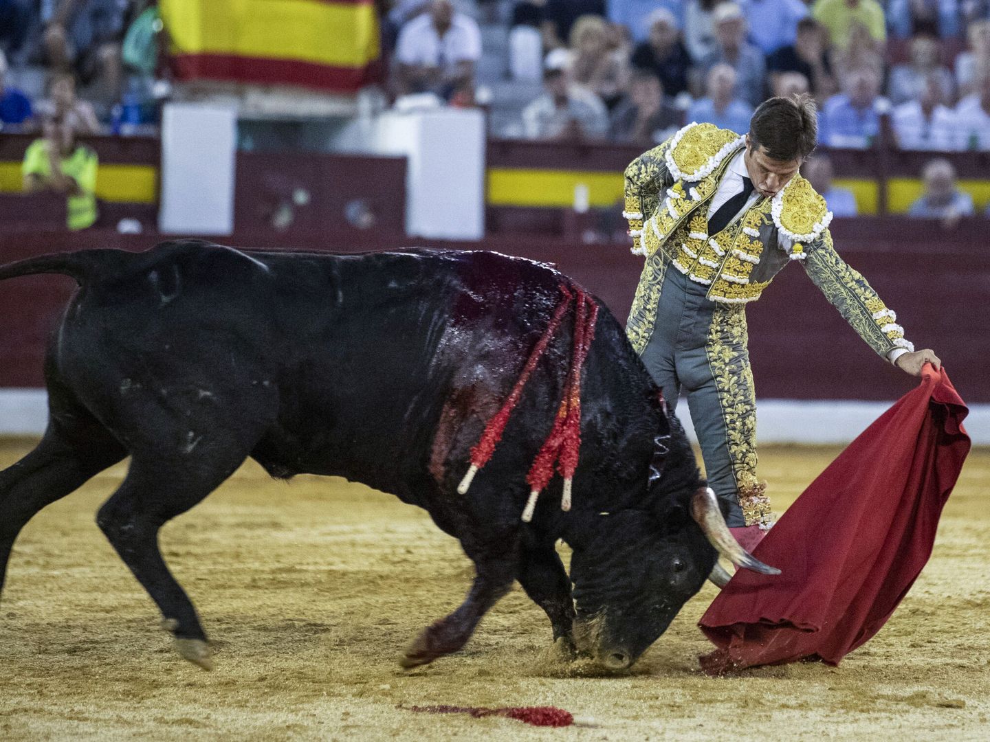 Julián López 'el Juli' con su segundo astado en la plaza de toros de La Condomina en Murcia el pasado día 12 de este mes. (EFE/Marcial Guillén)