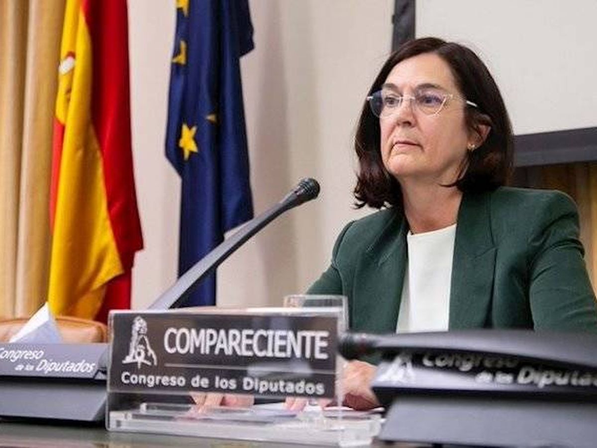 Foto: Cani Fernández, presidenta de la Comisión Nacional de los Mercados y la Competencia (CNMC). (Europa Press)