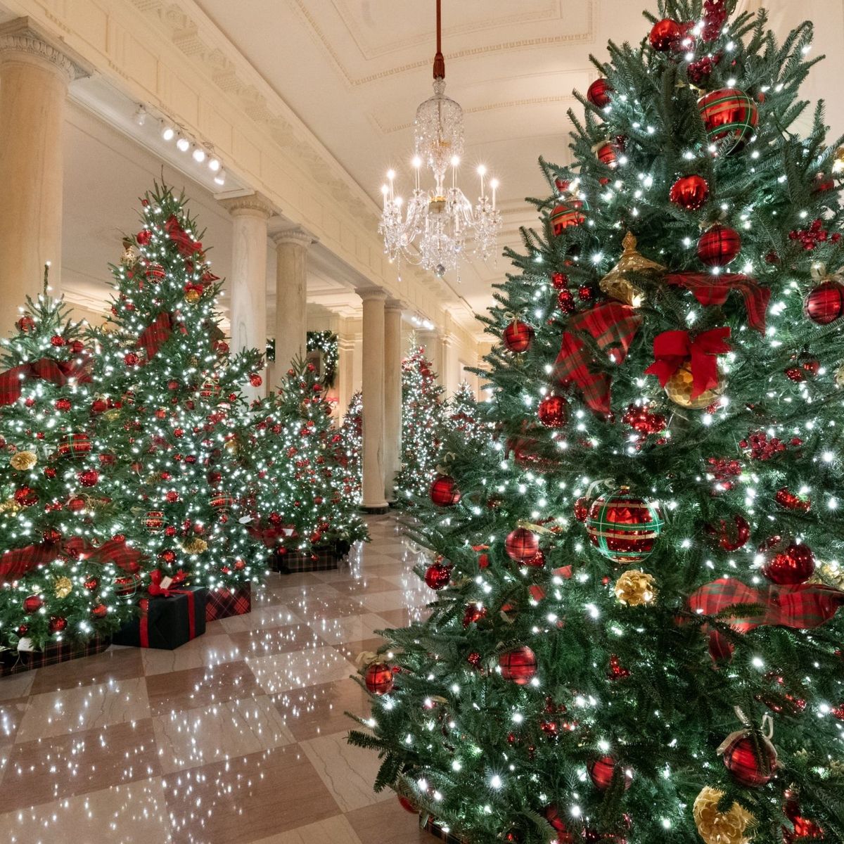 Más de 60 árboles de Navidad, la última decoración de Melania en la Casa  Blanca