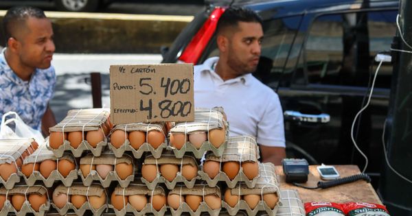 Foto: Los huevos son un alimento planetario y los encontraremos en cualquier lugar del mundo