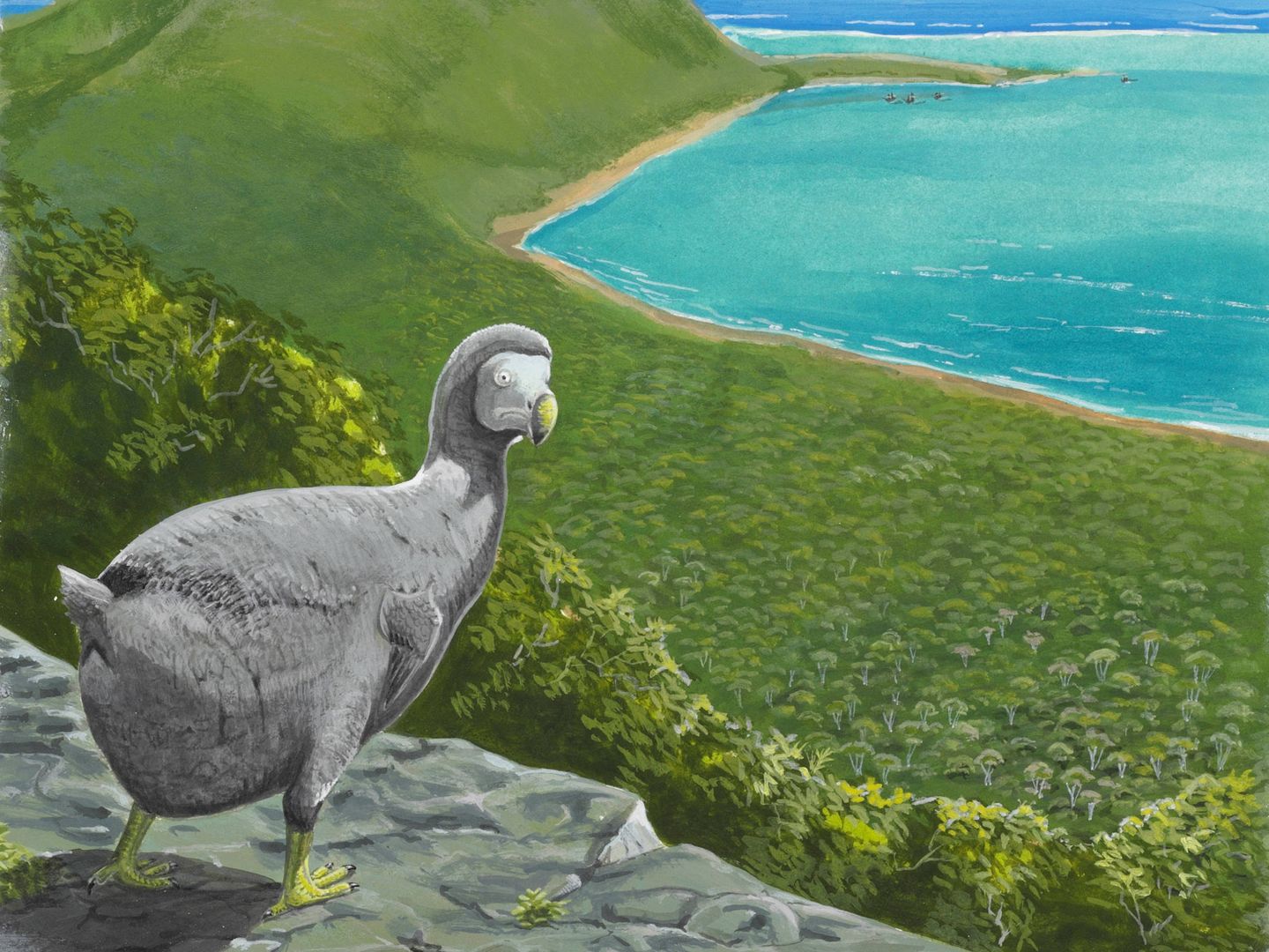 Ilustración de un dodo observando la llegada de humanos a la isla. Su cara lo dice todo (Julian Hume)