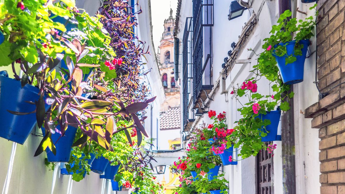 Descubre las 10 calles más bonitas de España