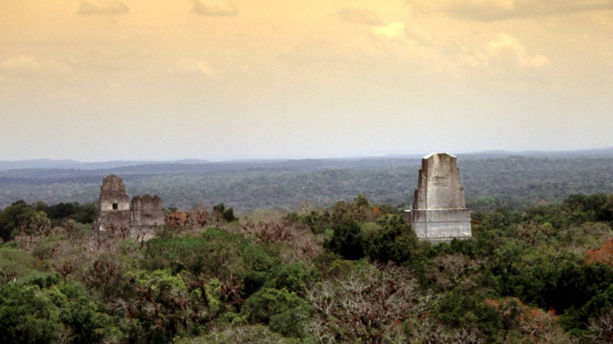 La enorme ciudad maya que ha sido descubierta oculta entre la jungla