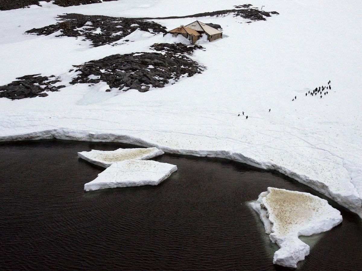 Foto: La Antártida cambia de aspecto por el cambio climático (REUTERS/ P.Askin)
