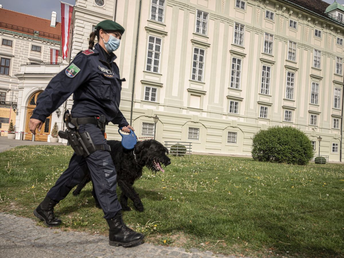 Foto: Una policía en Viena. (EFE)