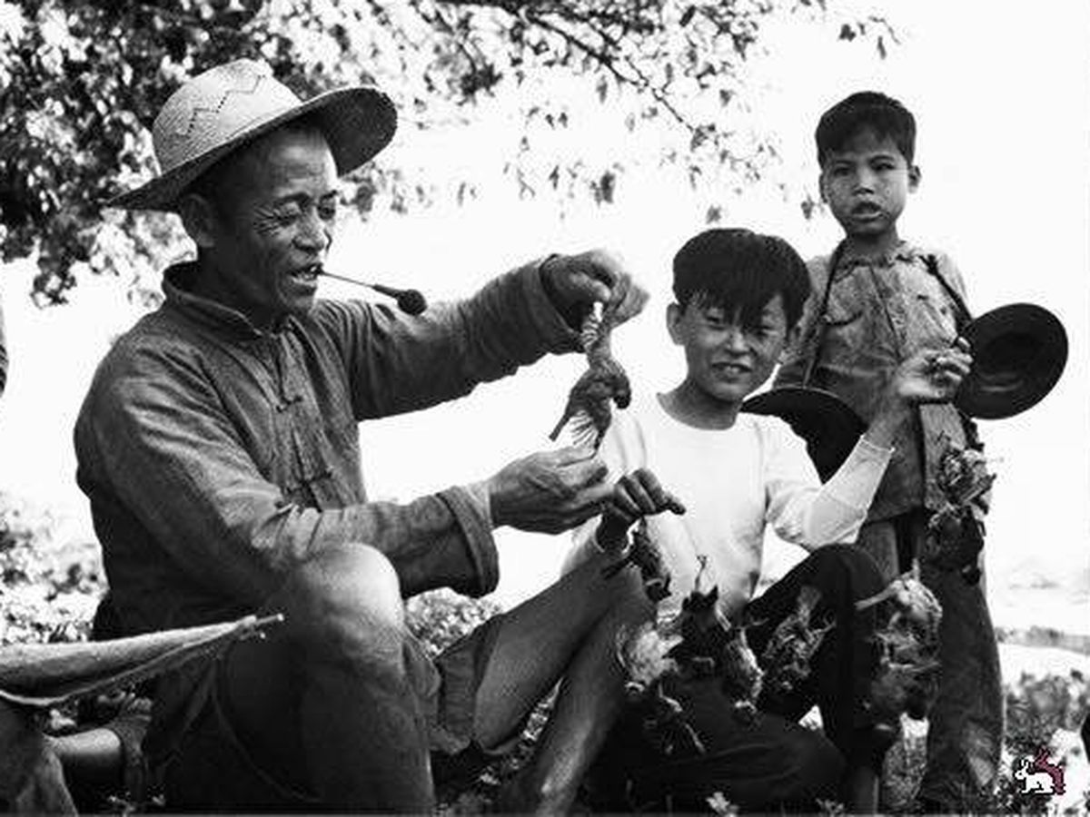 Foto: Caza de giorriones a finales de los años 50 en China. (Cedido)