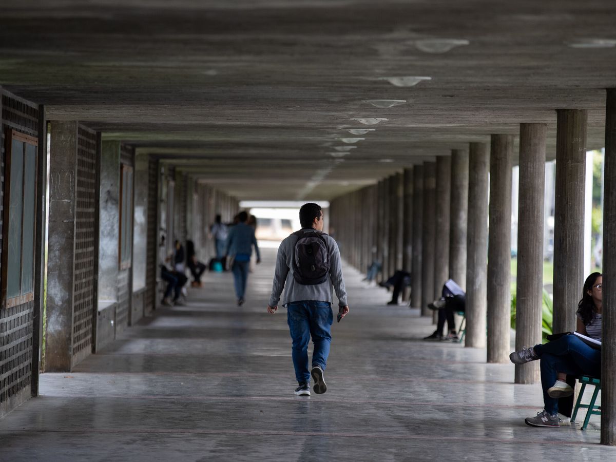 Foto: Un estudiante en la Universidad Central de Venezuela. (EFE/Rayner Peña R.)