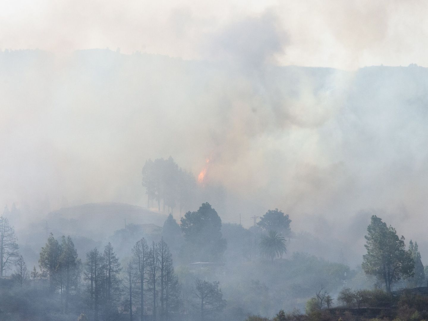 El incendio forestal ha llevado a la evacuación de 32 vecinos. (EFE/Miguel Calero) 