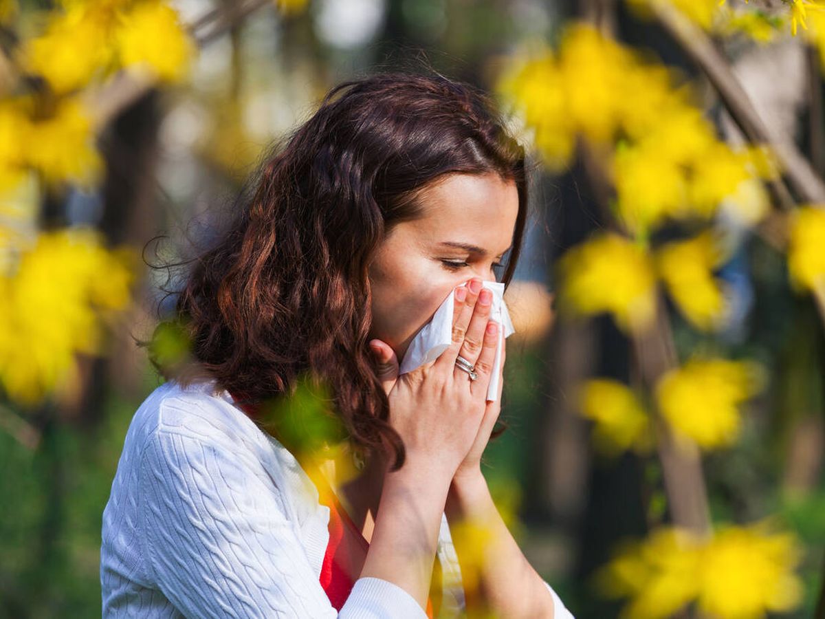 Foto: La temporada de alergias se adelantará hasta 40 días. (iStock)