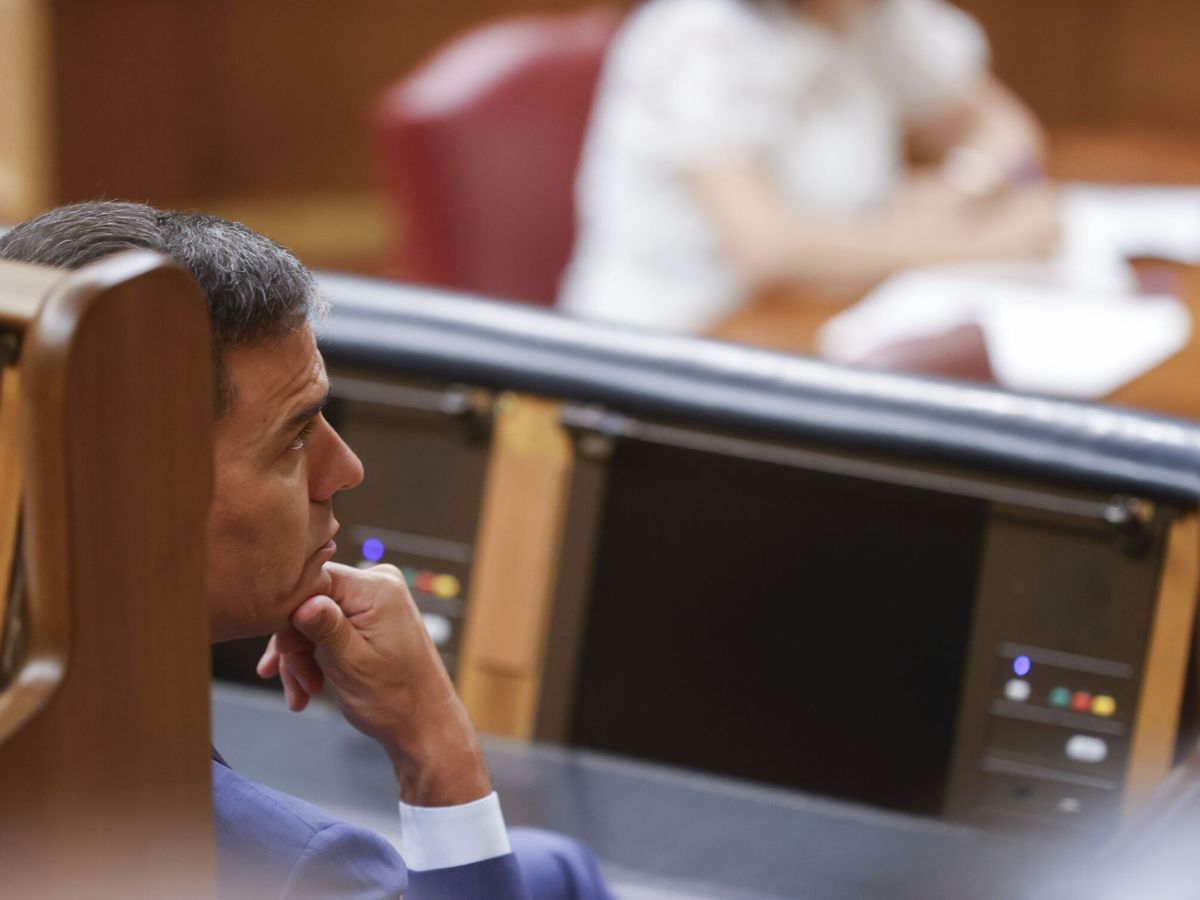 Foto: Pedro Sánchez en la sesión constitutiva de las Cortes Generales de la XV legislatura. (EFE/Juan Carlos Hidalgo)