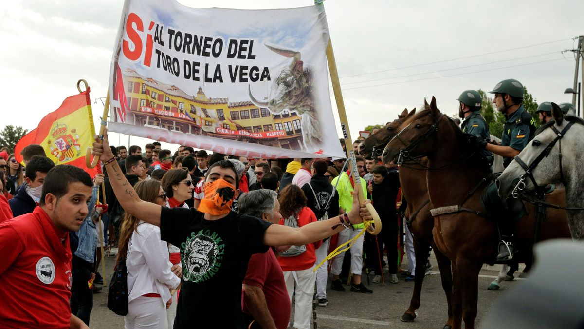 Las fiestas de Tordesillas volverán a llevar el nombre del "Toro de la Vega" 