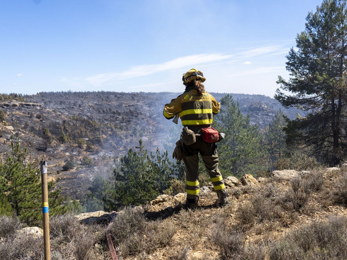 Foto: Una brigada de bomberos, trabajando en el incendio. (EFE/Antonio García)