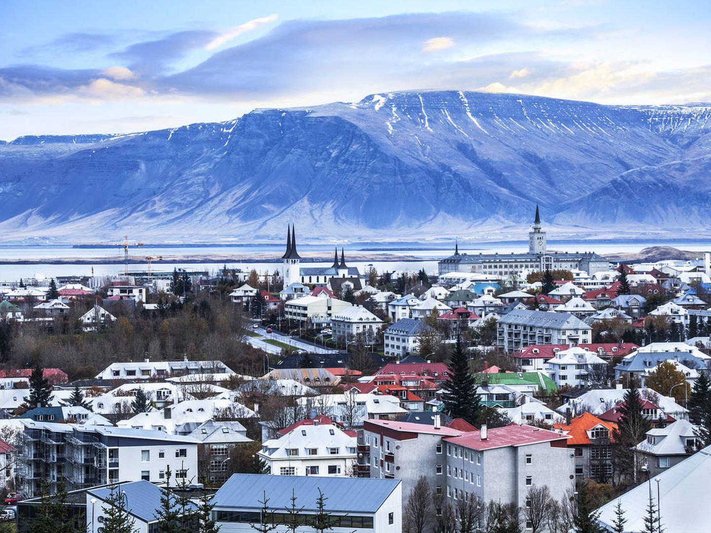 Reykjavik. (iStock)