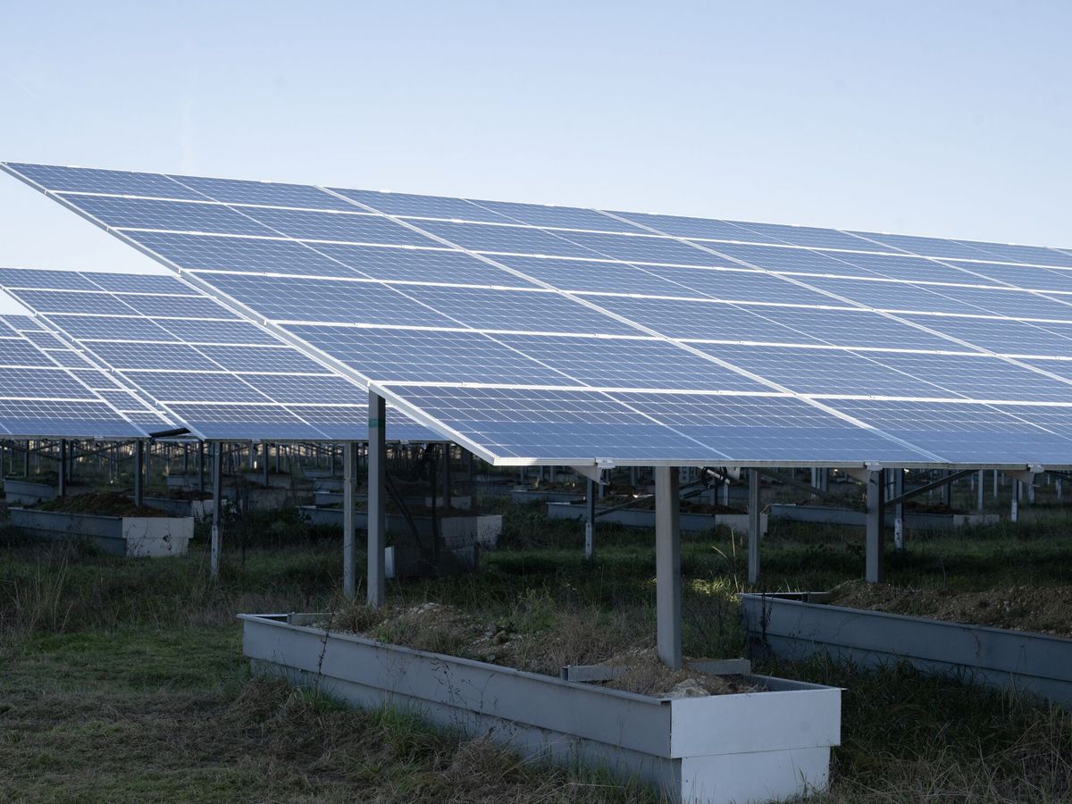 Foto: Una planta fotovoltaica. (EFE/Caroline Bloumberg)