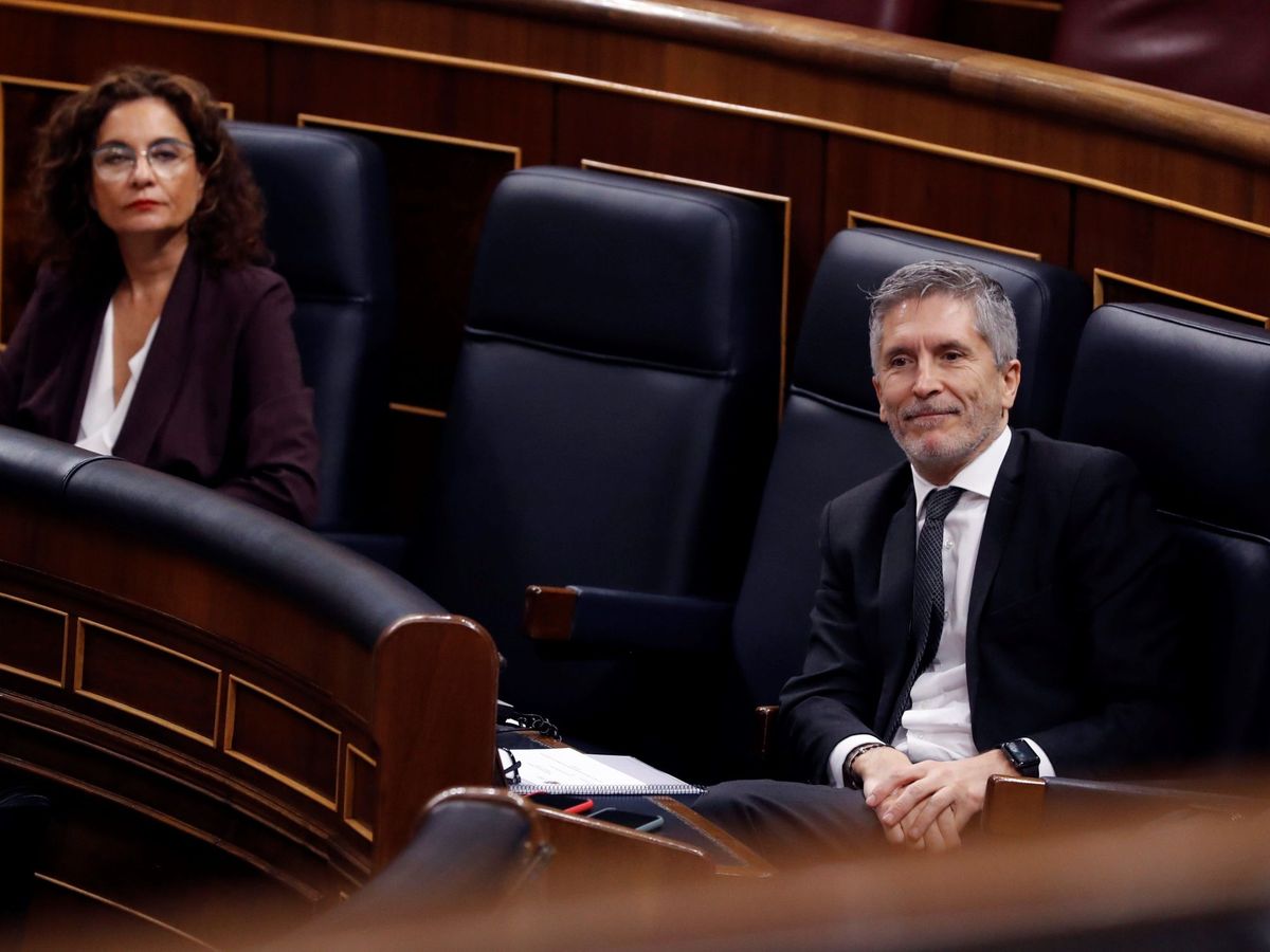 Foto: El ministro del Interior, Fernando Grande-Marlaska, en la primera sesión de control al Gobierno durante el estado de alarma, el pasado 15 de abril. (EFE)