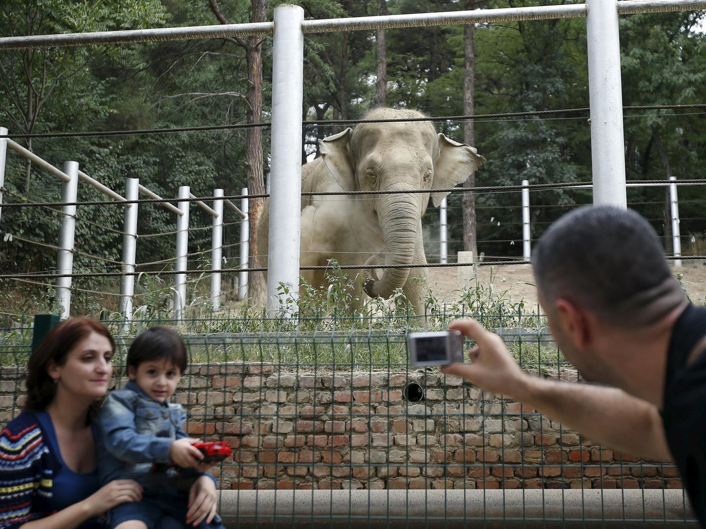 Una familia georgiana se fotografía con un elefante. (Reuters/David Mdzinarishvili)