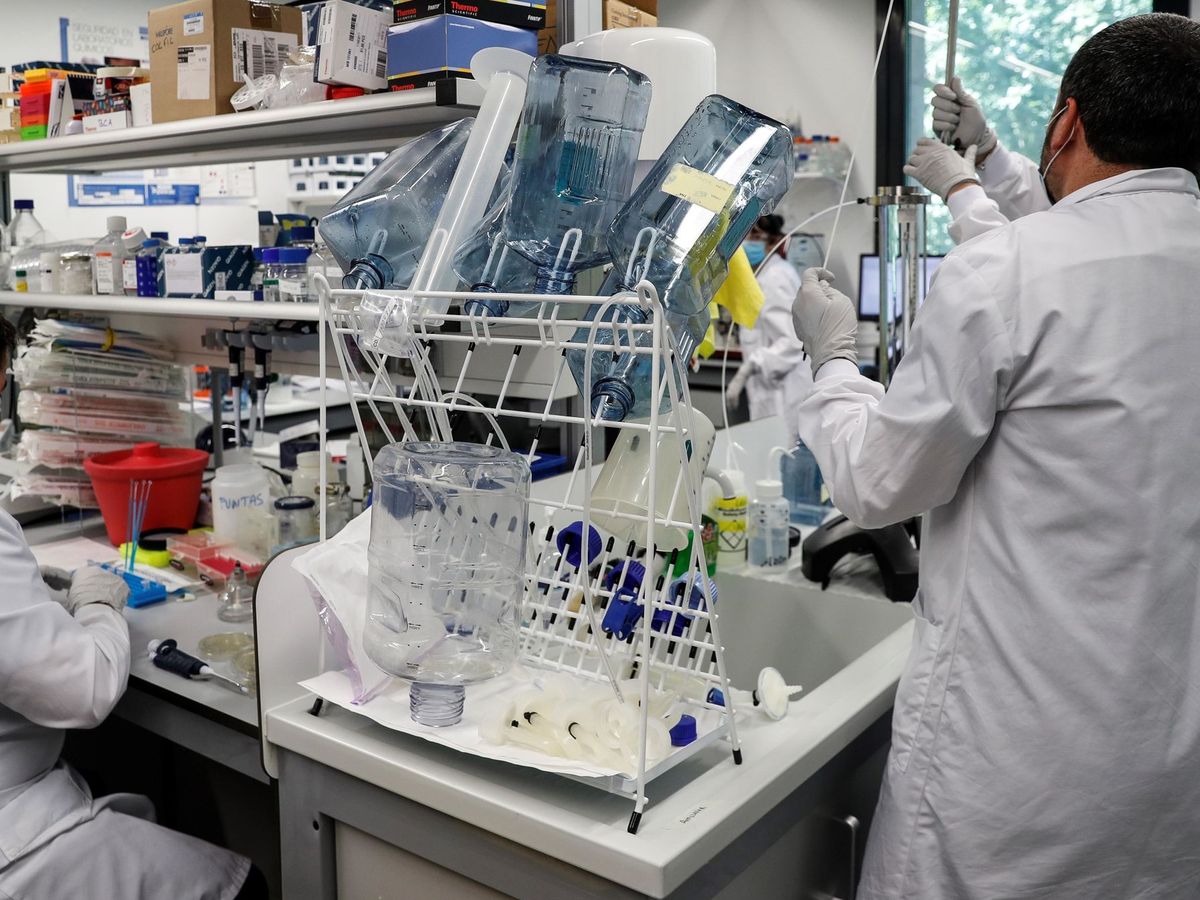 Foto: Investigadores de Viralgen trabajan este jueves en su laboratorio en el Parque Tecnológico de Miramón. (EFE)
