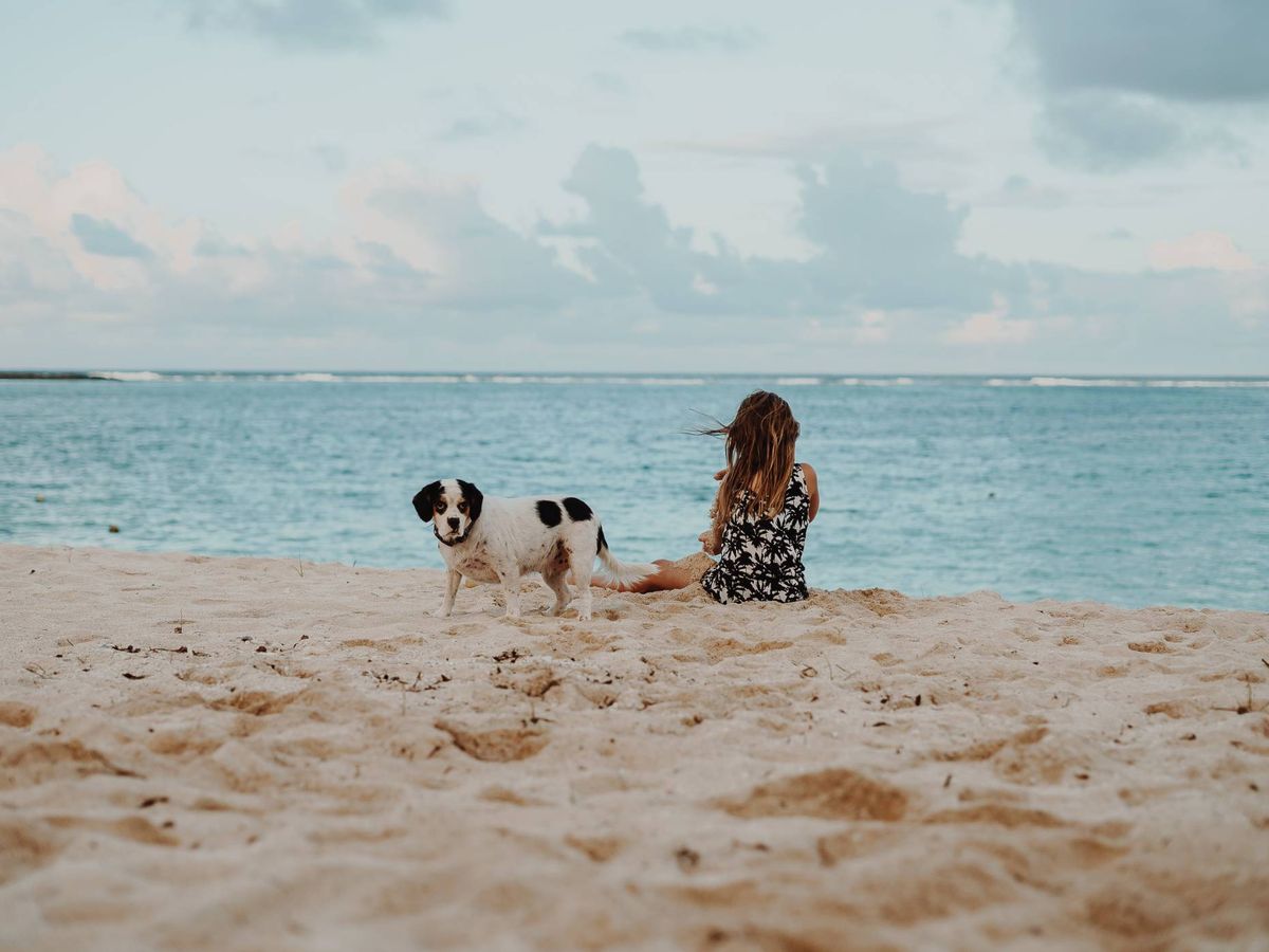 Foto: Playas para perros es España para estas vacaciones. (Wade Lambert para Unsplash)