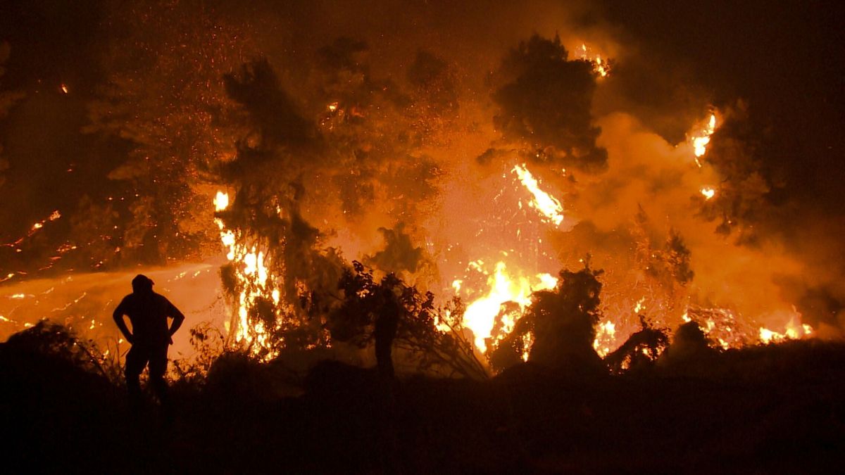 Una empresa española se brinda a reforestar Grecia tras los incendios