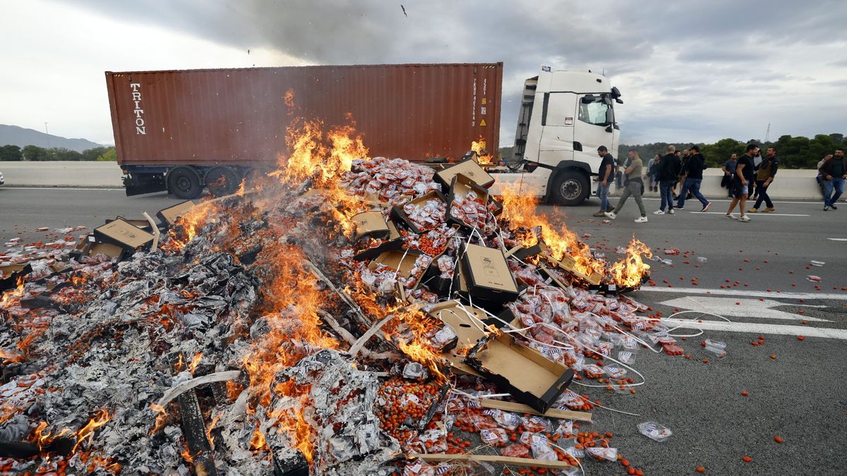 ¿Por qué están los vinicultores franceses atacando camiones españoles?