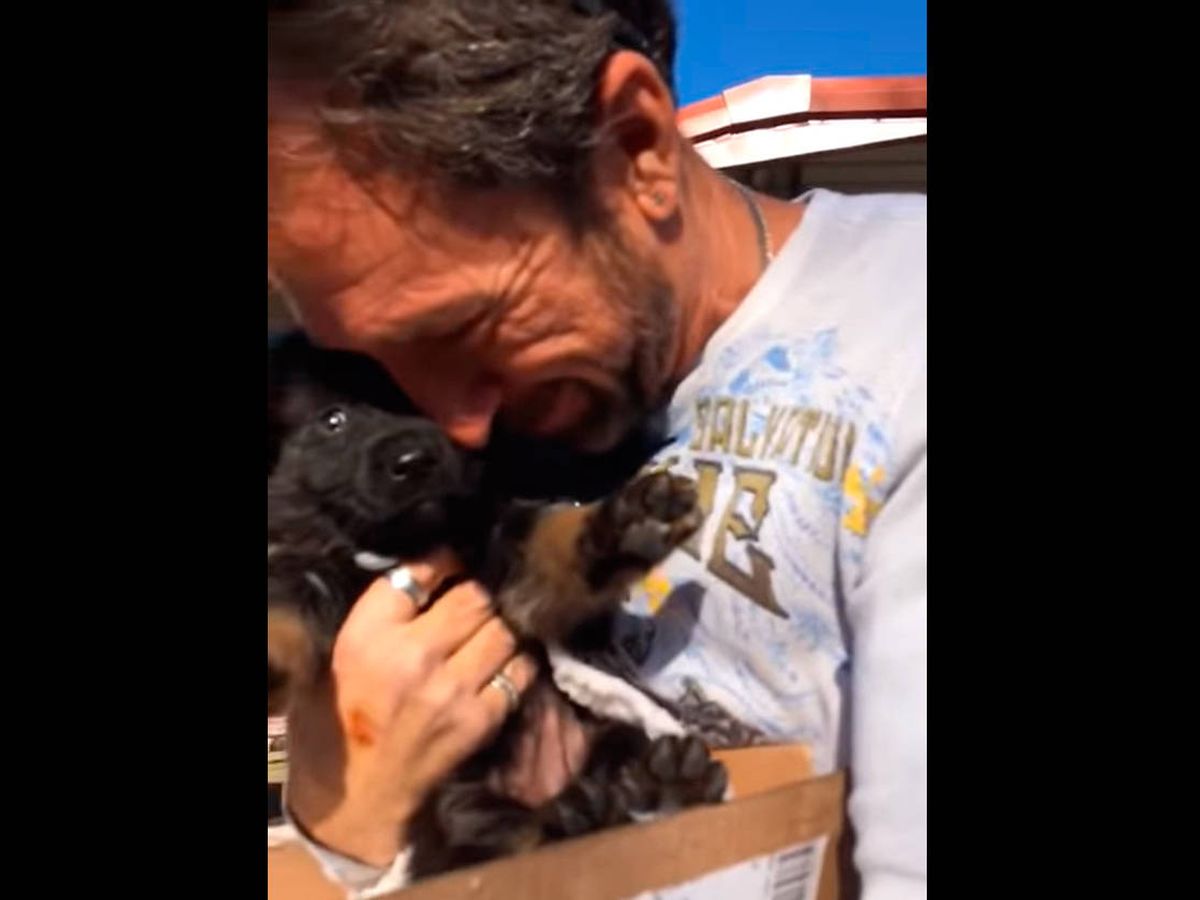Foto: El hombre no pudo reprimir las lágrimas al abrazar a Piper, su nuevo cachorro (Foto: YouTube)