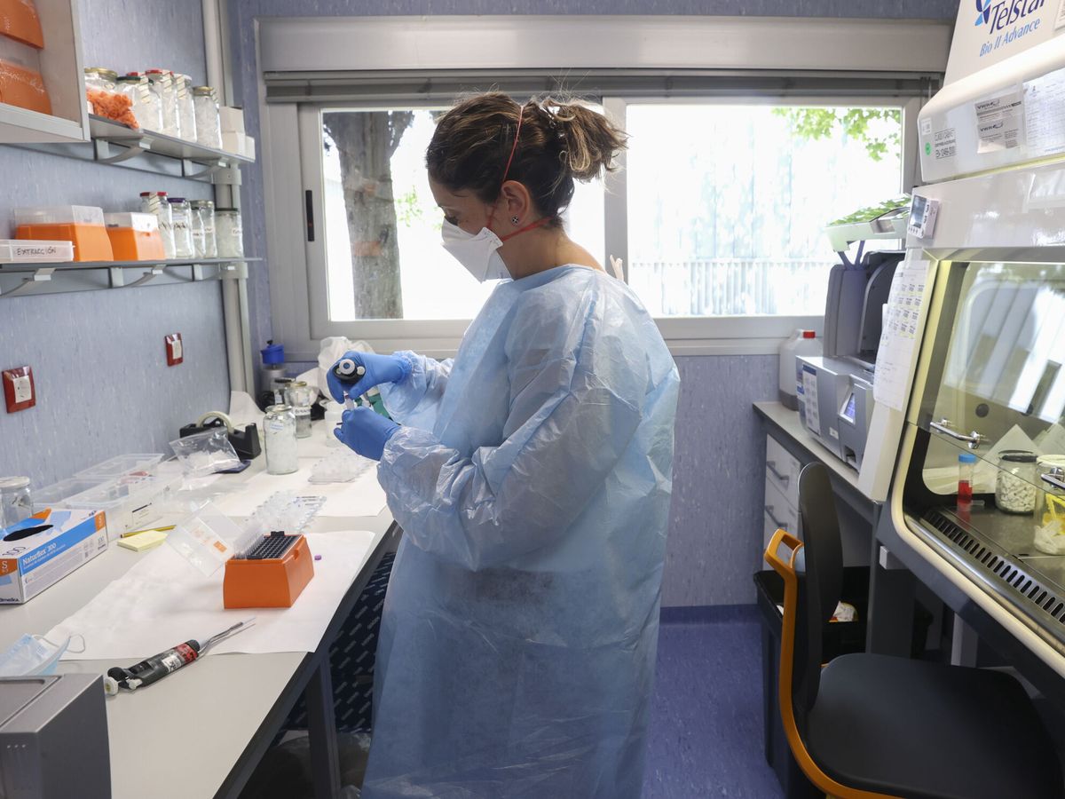 Foto: El laboratorio de arbovirus y enfermedades víricas importantes del Centro Nacional de Microbiología. (EFE/Kiko Huesca)